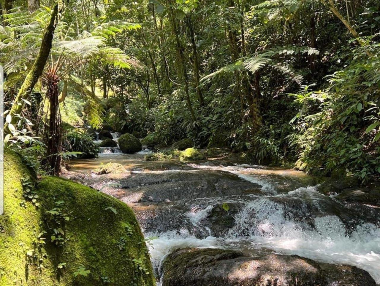 Pousada Caminhos De Gaia São Francisco Xavier Kültér fotó