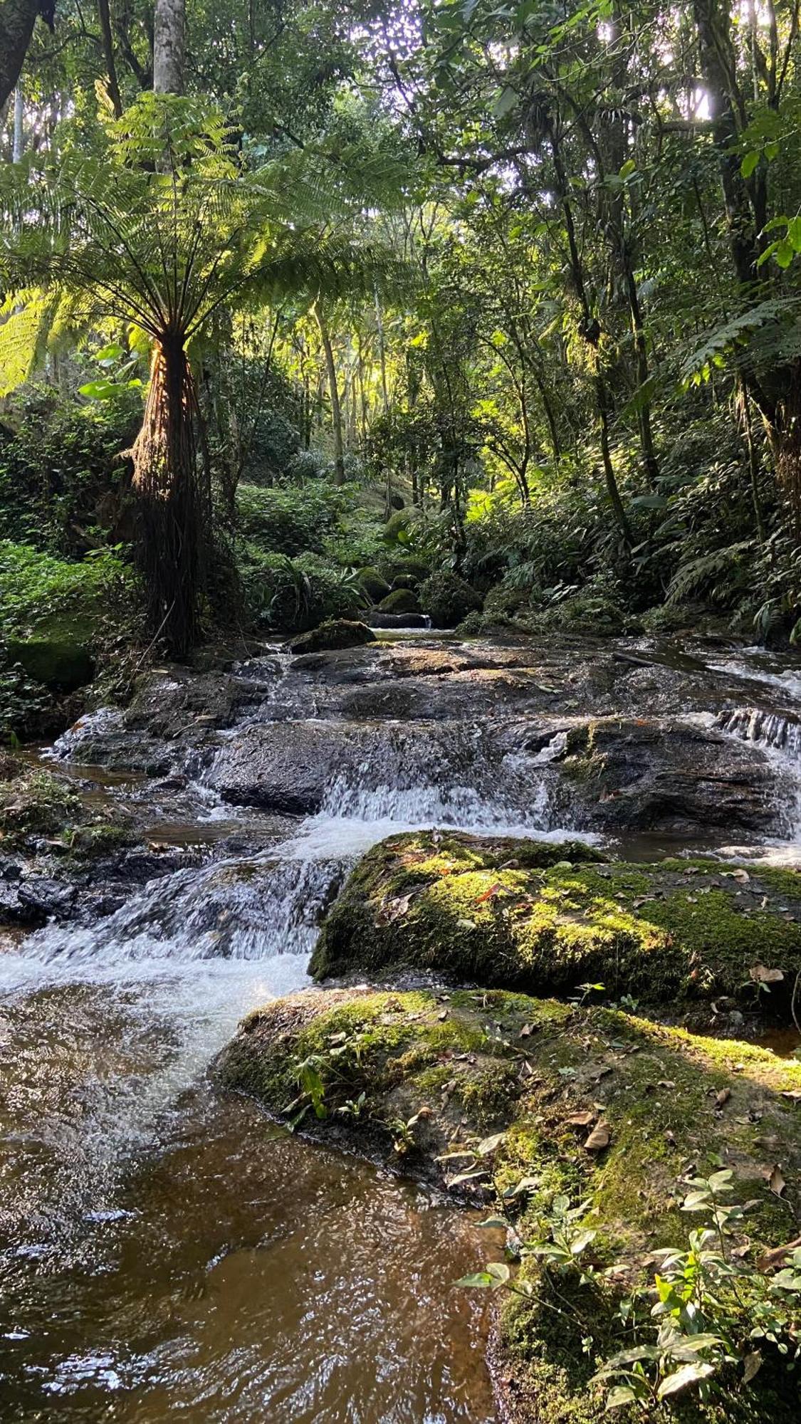 Pousada Caminhos De Gaia São Francisco Xavier Kültér fotó